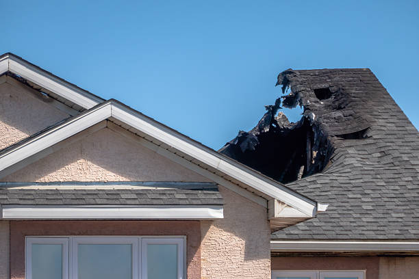 Licensed Odor Removal service in Terra Ceia, FL - Fire Damage Laser Cleaning